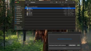 Демо EFD Unpacker